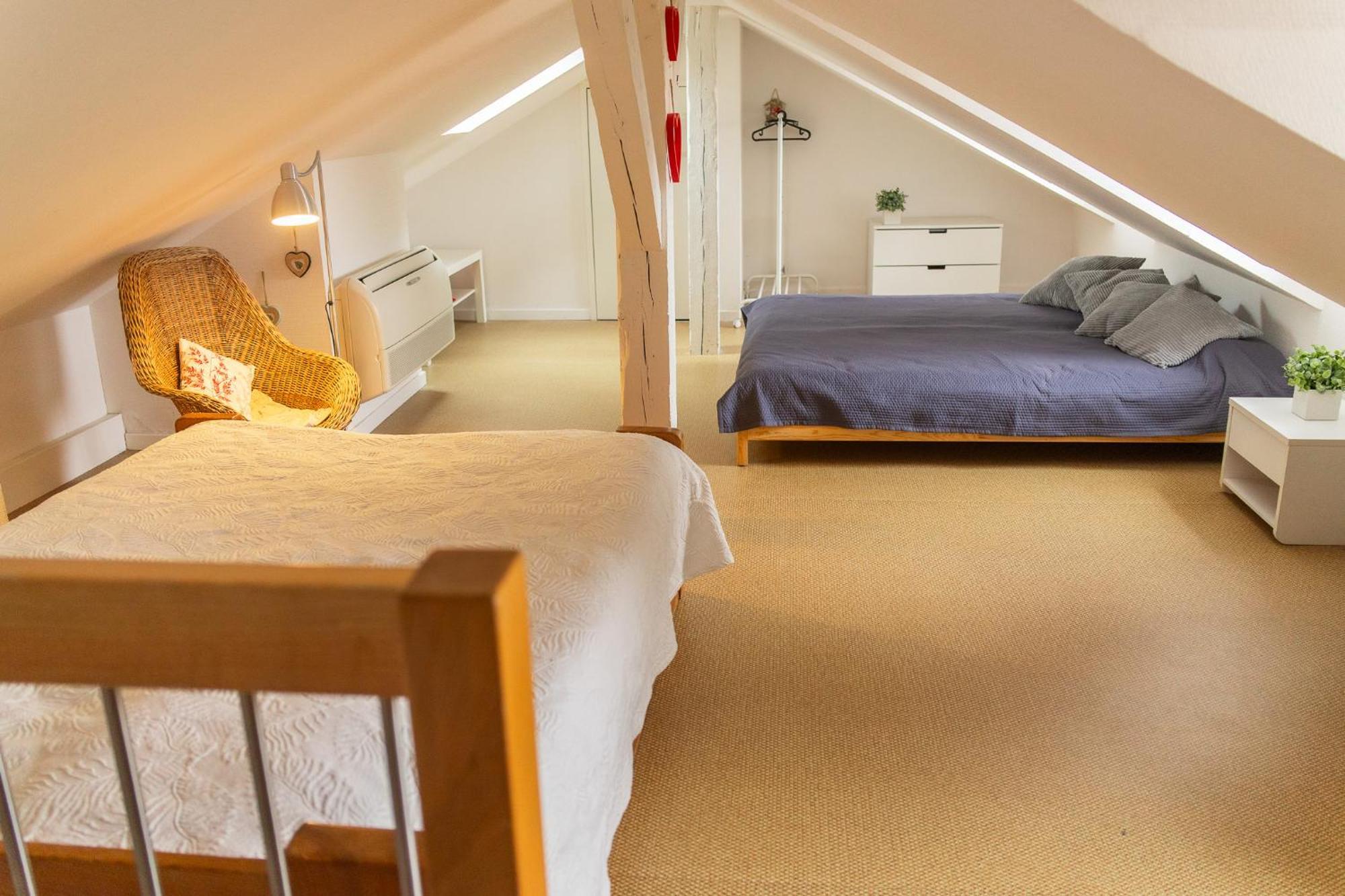 City Center Duplex Loft Colmar Eksteriør billede