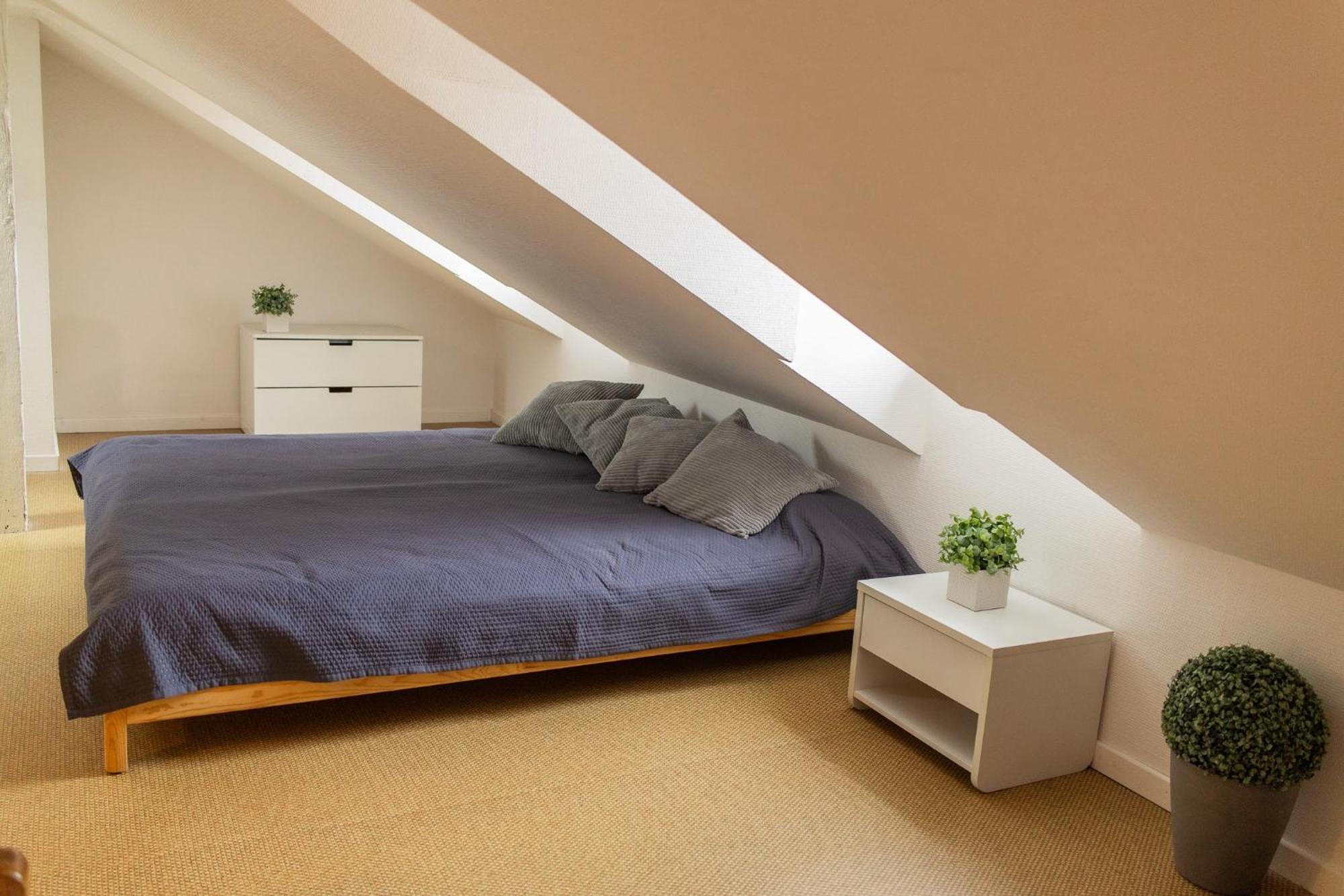City Center Duplex Loft Colmar Eksteriør billede