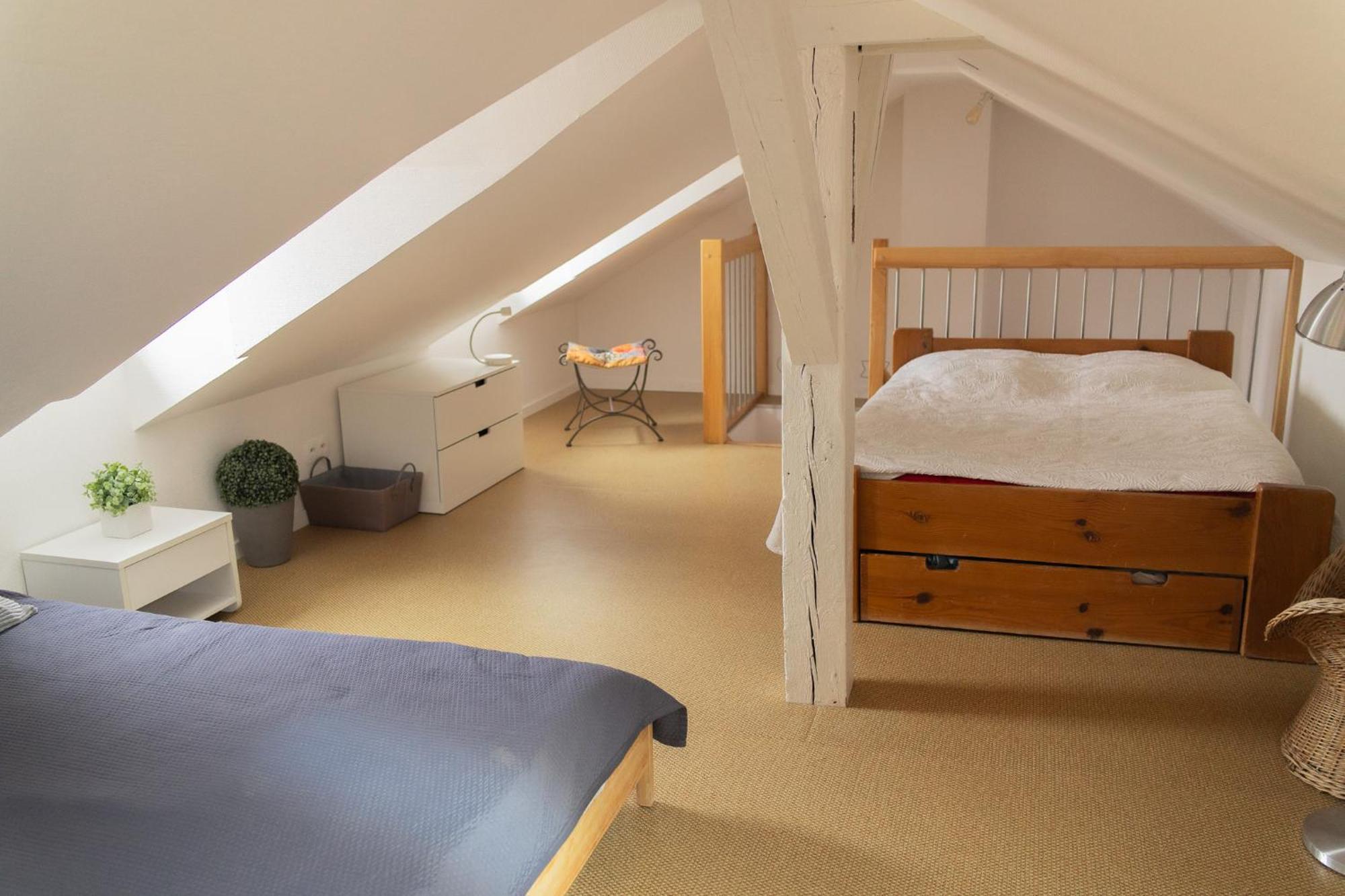 City Center Duplex Loft Colmar Eksteriør billede