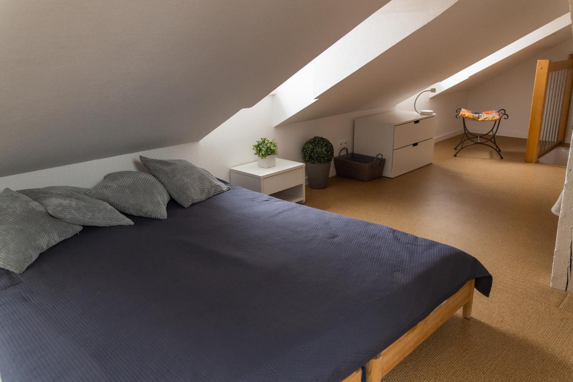 City Center Duplex Loft Colmar Eksteriør billede